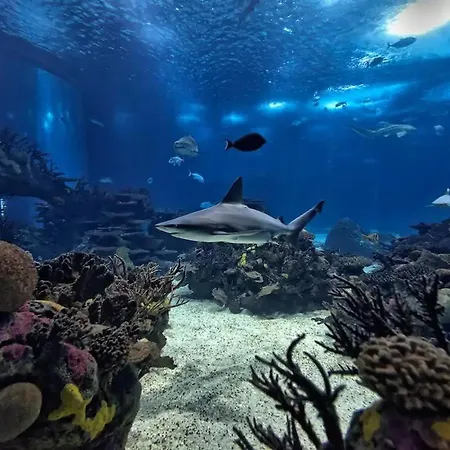 公寓 2-Bedroom Flat In Moscavide Near Fil And Arena